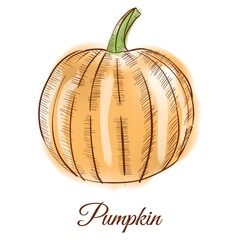 Pumpkin
