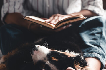 woman and dog lifestyle image. Bernese Mountain Dog is sleeping in his arms.