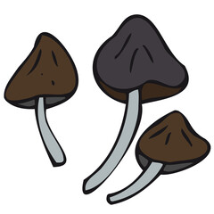 poisonous toadstool mushrooms, vector decorative element for halloween celebration in doodle style, black outline, color illustration