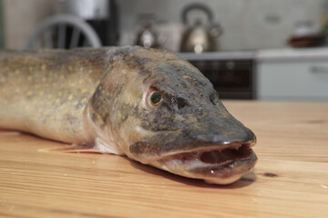 Fish pike.
