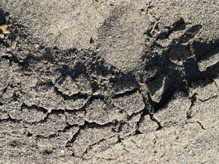 Image of sandy soil. Background.