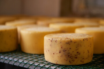 A row of aging cheeses on wooden shelves in the farm's maturing cellar