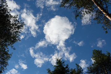 Obraz premium Blue sky background with clouds