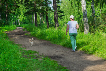 A woman in a white baseball cap walks through the woods with a dog alone. Healthy lifestyle. Summer, pets.