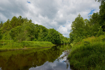 Obraz na płótnie Canvas Summer forest river reflection landscape. Forest river reflection view. Forest river landscape. Green forest river view