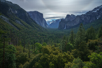 Obraz premium tunnel view in yosemite nationalpark, california, usa