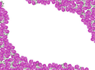 Fototapeta na wymiar pink small flowers two corners on white background