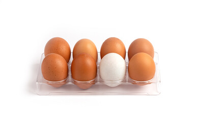 Egg, fresh chicken egg and duck egg in plastic box isolated on white background.