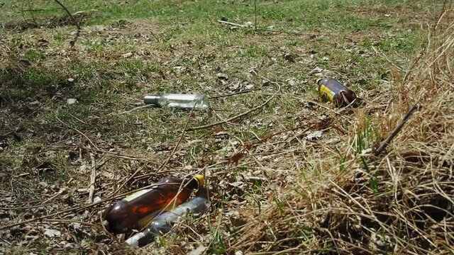 Garbage from plastic and glass bottles, cans lies on the dry grass, in the bushes near the forest, in the spring.