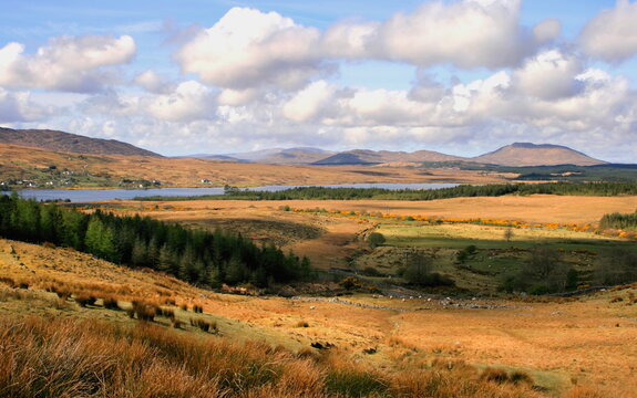 Typical Irish landscape from Connemara, forests, mountains, lakes, fields and puffy clouds