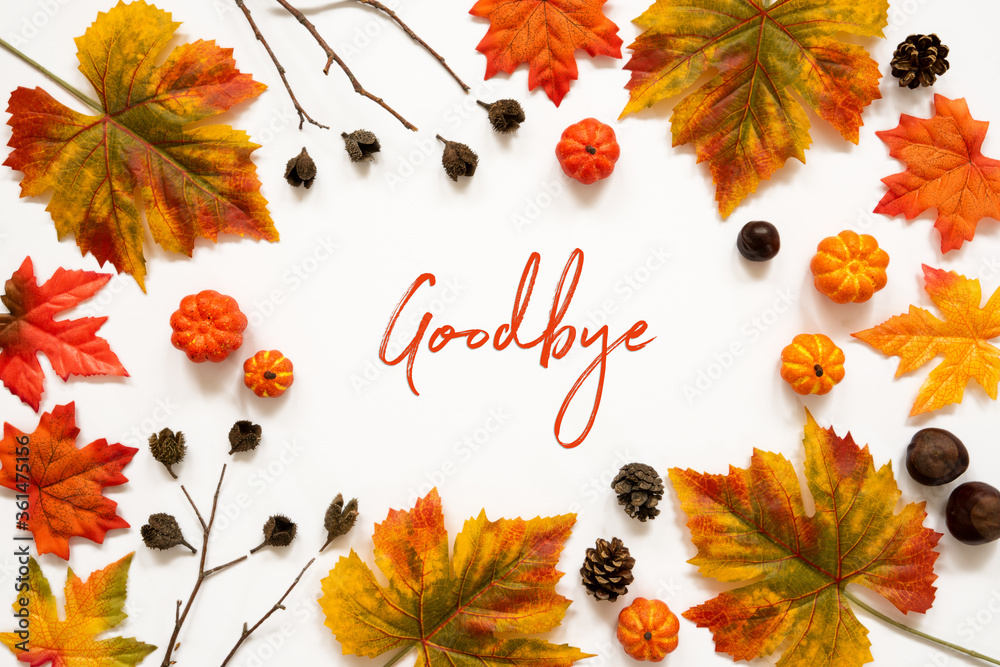 Wall mural beautiful calligraphy of english text goodbye. frame of bright colorful autumn leaf decoration.