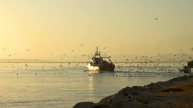 Fishermans boat with seagulls follow at Ilha do Farol. Algarve, Portugal #visitportugal #visitalgarve