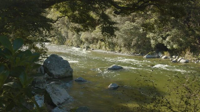 Buller River View in New Zealand // Static Shot