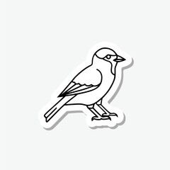Sparrow sticker icon isolated on gray background