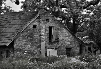 Rural 2 © jholy