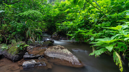 Fototapeta na wymiar small river