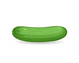 Cucumber vector illustration 