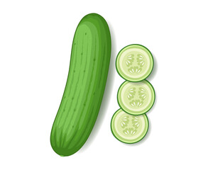 cucumber vector illustration with cucumber round pieces