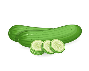 cucumber vector illustration