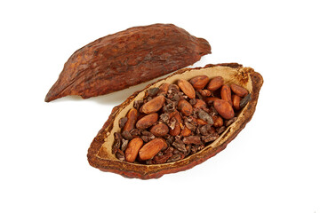 cocoa bean fuit isolated on white backrgound