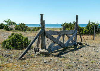 summer landscape with a natural wooden fence on a rocky sea shore, Saaremaa Island, Estonia