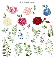 Flowers of roses with colored elements and green leaflets. Watercolor designer element set. Wedding concept. Floral poster, invite. Vector arrangements for greeting card or invitation