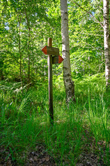 two orange arrows marking the way of a trail