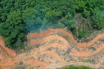 Deforest environmental problem. Logging of rain forest to clear land for palm oil plantations in Southeast Asia 