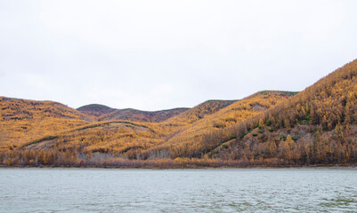 autumn landscape with lake