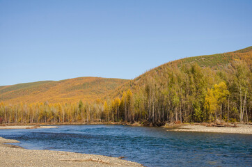 autumn landscape with lake