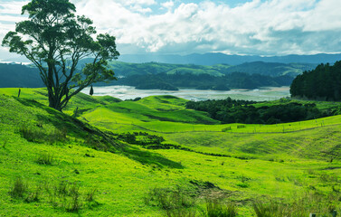 Fototapeta premium New Zealand hills