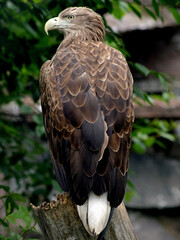 National Park 