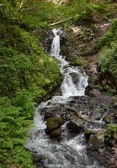 Fototapeta premium waterfall in the mountains