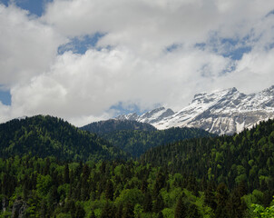 Snow-capped mountains in the forest on a clear summer day.