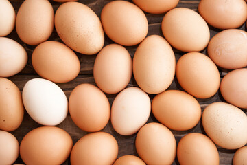 Fresh country eggs. Natural food, environmentally friendly products.