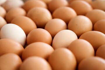 Fresh country eggs. Natural food, environmentally friendly products.