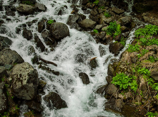 Stormy cold stream of a mountain waterfall in the forest.