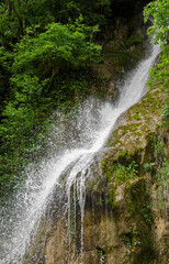 Stormy cold stream of a mountain waterfall in the forest.