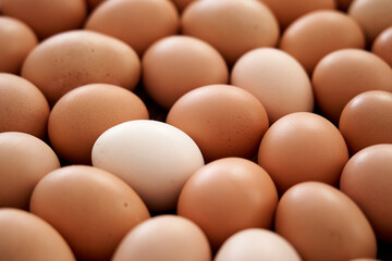 Fresh country eggs. Natural food, environmentally friendly products.