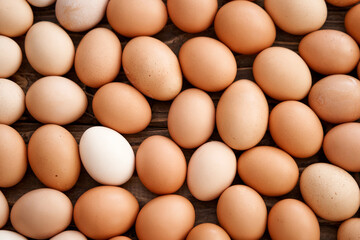Fresh country eggs. Natural food, environmentally friendly products.