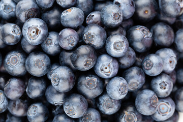 Fresh blueberry background. Texture blueberry berries close up.
