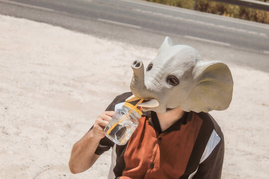 Conceptual image of a modern businessman in an elephant mask symbolizing intelligence and performing human actions, eating a sandwich, making a selfie, drinking water, stopping a taxi, making a phone 