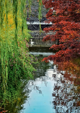 Japanese autumn colered leaves Momiji 
-Kurashiki 　倉敷
Processed with VSCO with nc preset