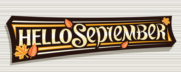 Vector lettering Hello September, black label with curly calligraphic font, autumn leaves and decorative art stripes, voucher with swirly unique lettering hello september on grey abstract background. © mihmihmal