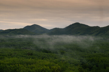 Obraz na płótnie Canvas landscape of the tropical forest in morning, Koh Yao Yai,Phangnga, Thailand
