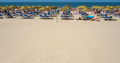 people on the beach in the morning