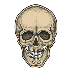 Dotwork styled skull. Hand drawn illustration