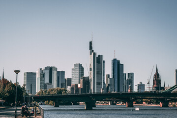 Skyline Frankfurt on the Main (Frankfurt am Main) during summer