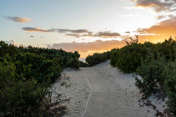 path to the beach at sunset