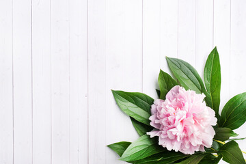 Pink peony flowers with leaves on a white wooden background with copy space. Greeting card with a place for text or product placement.